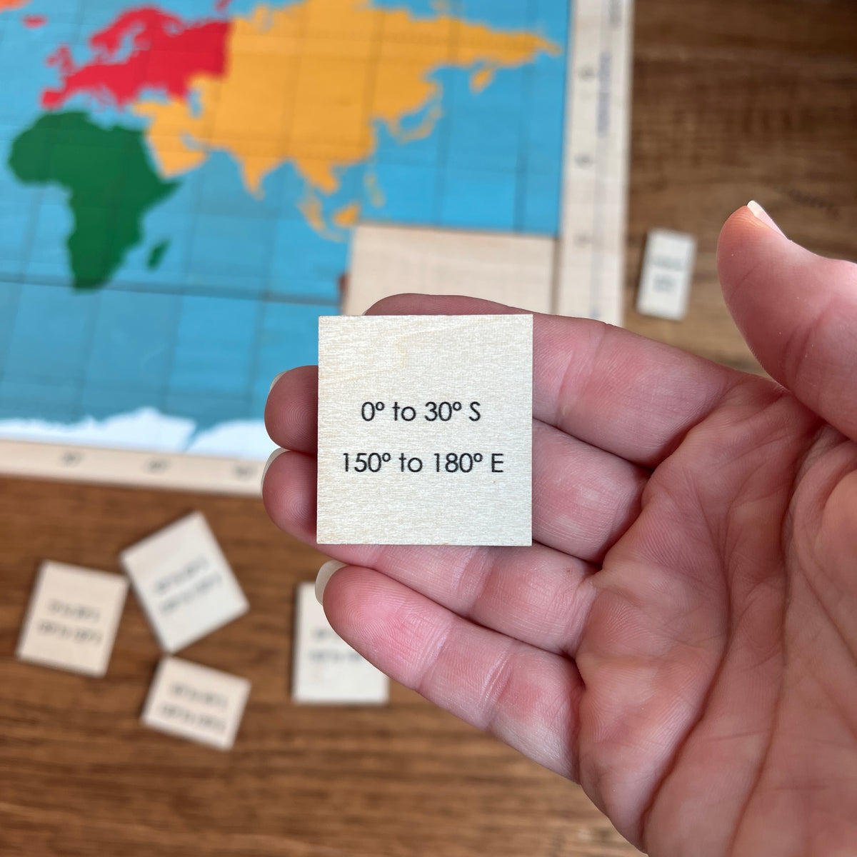 Latitude & Longitude Puzzle Map