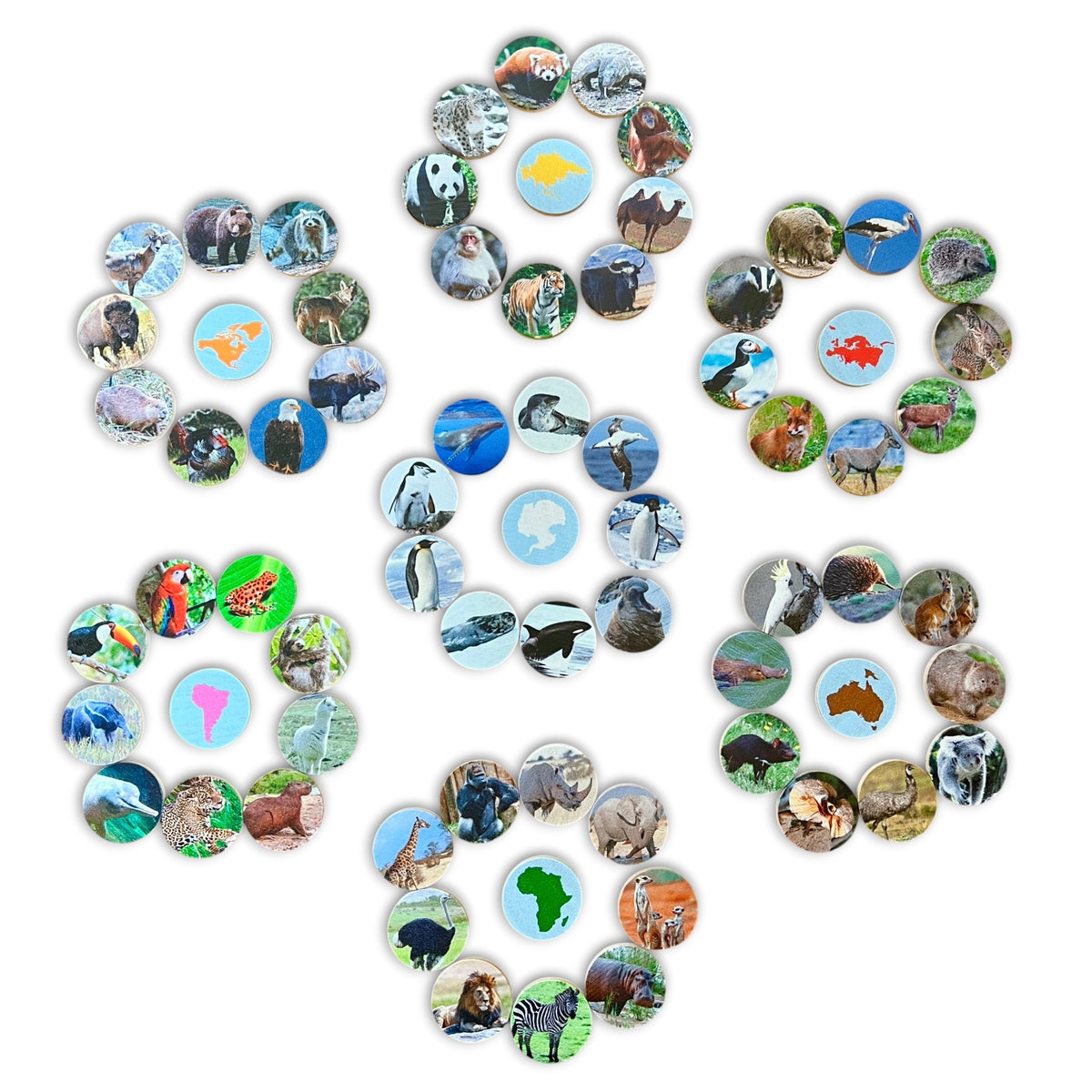 Small Coins - Animals Around the World