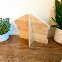 Colorful Nativity Advent Calendar