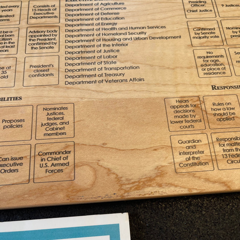 DISCOUNT Wall Hanging - Branches of U.S. Government