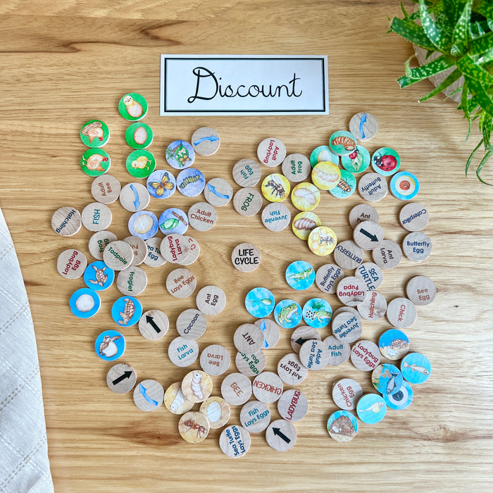DISCOUNT Small Coins - Life Cycle Set 1