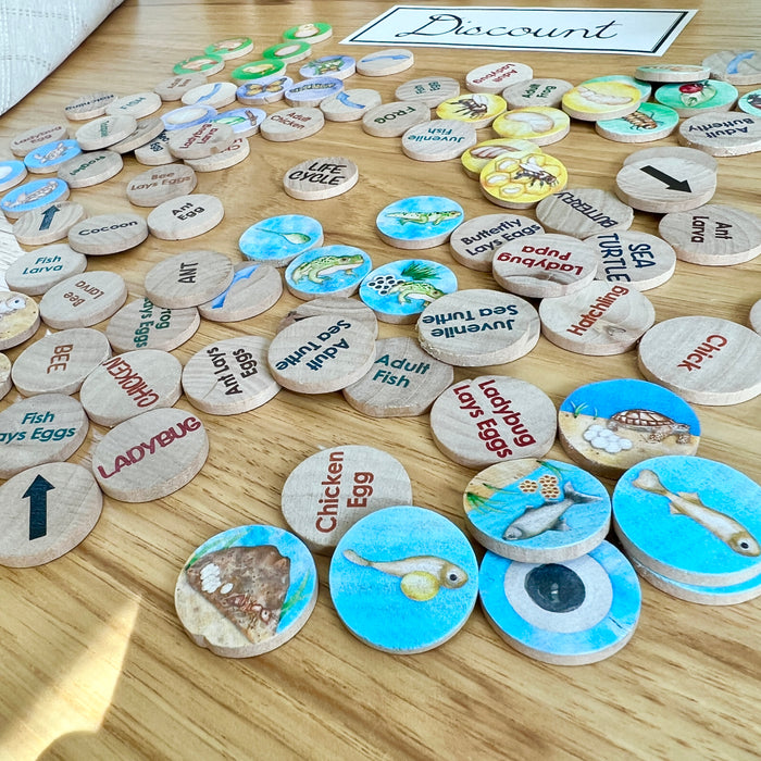 DISCOUNT Small Coins - Life Cycle Set 1