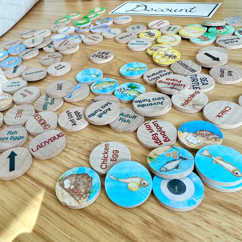DISCOUNT Small Coins - Life Cycle Set 1