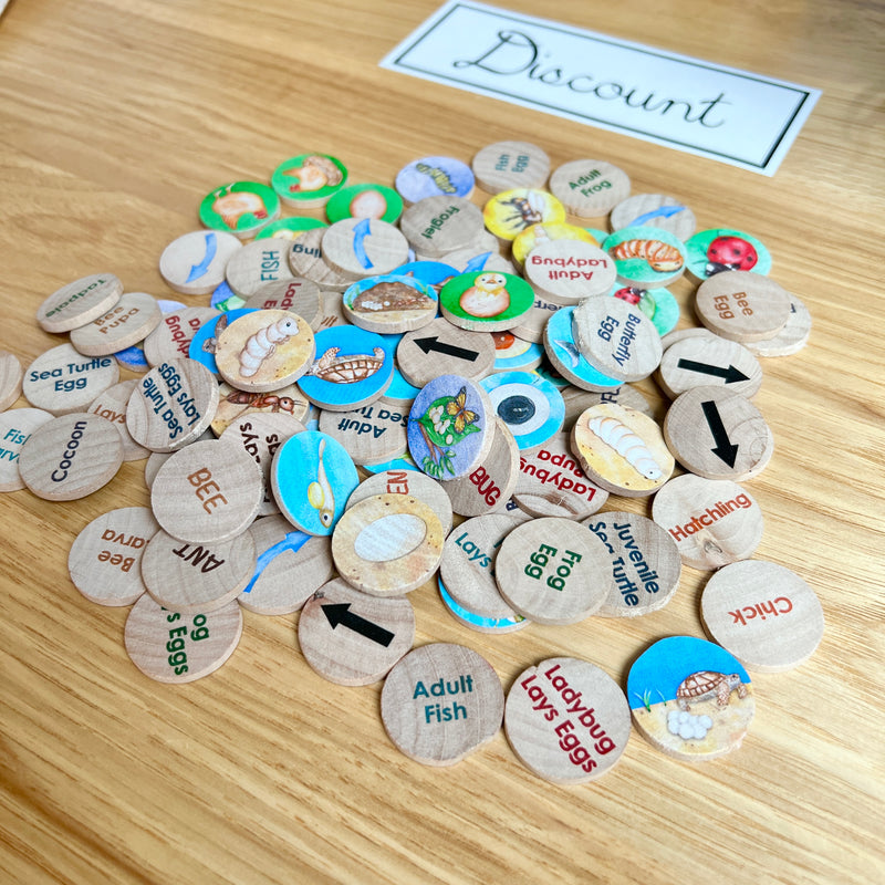 DISCOUNT Small Coins - Life Cycle Set 1