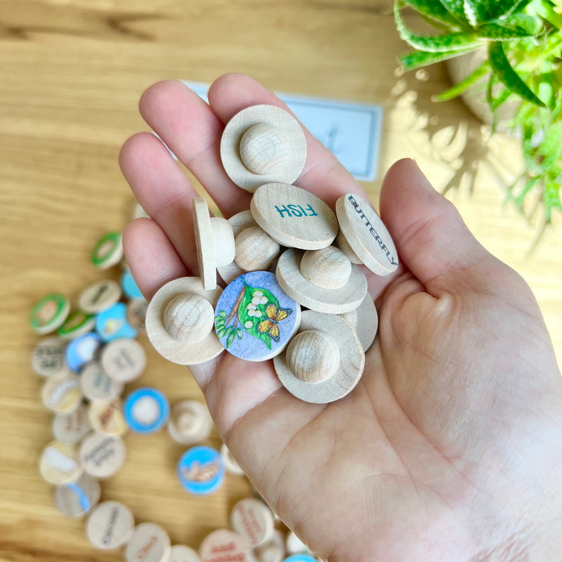 DISCOUNT Small Coins - Life Cycle Set 1