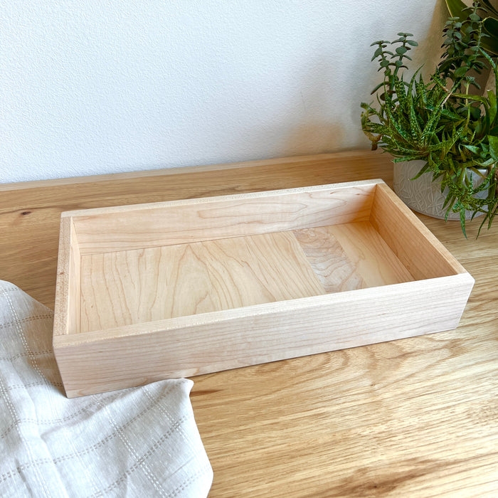 Large Storage Box