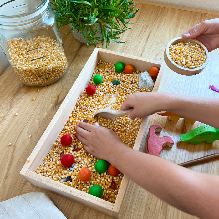 Large Sensory Box