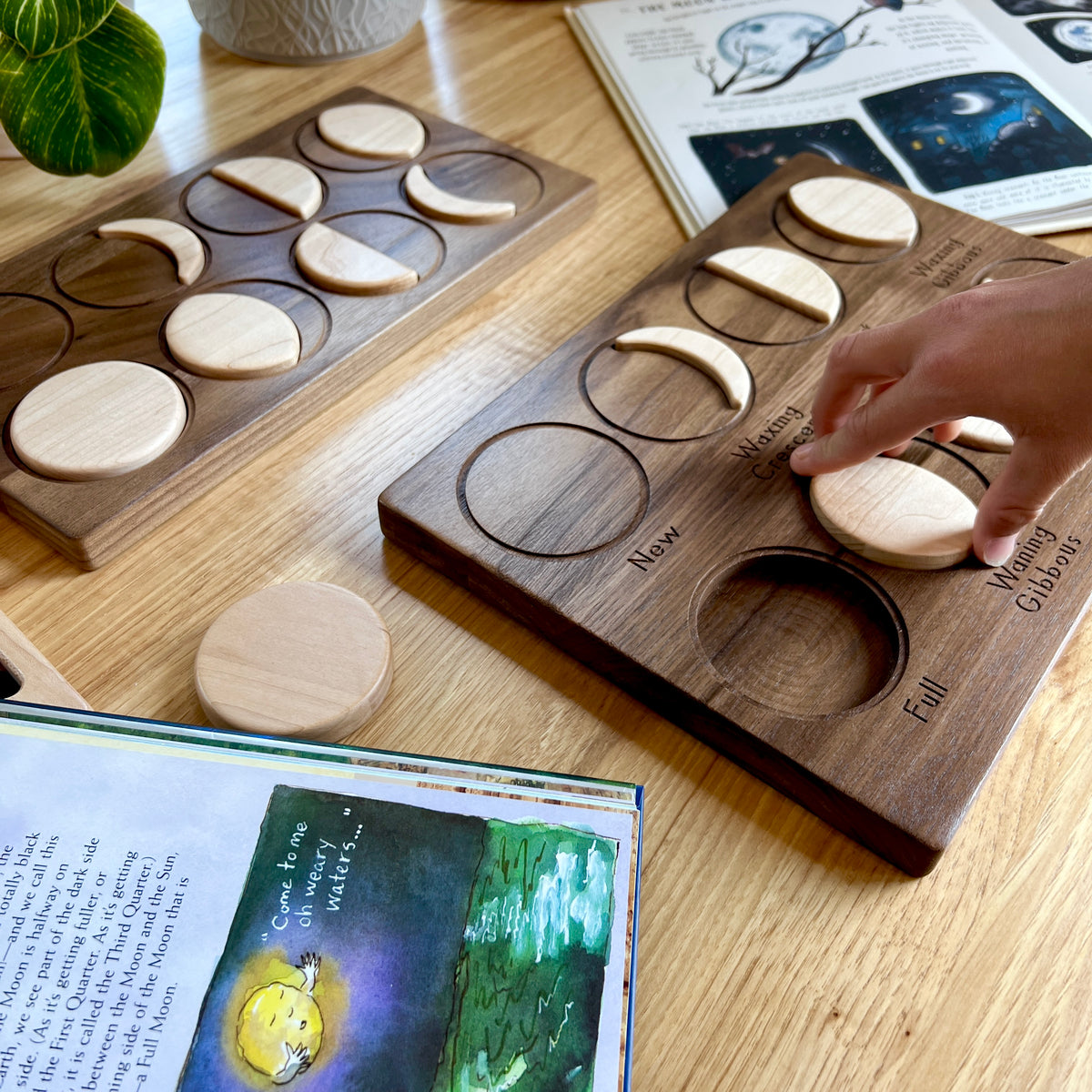 Moon Phases Puzzle