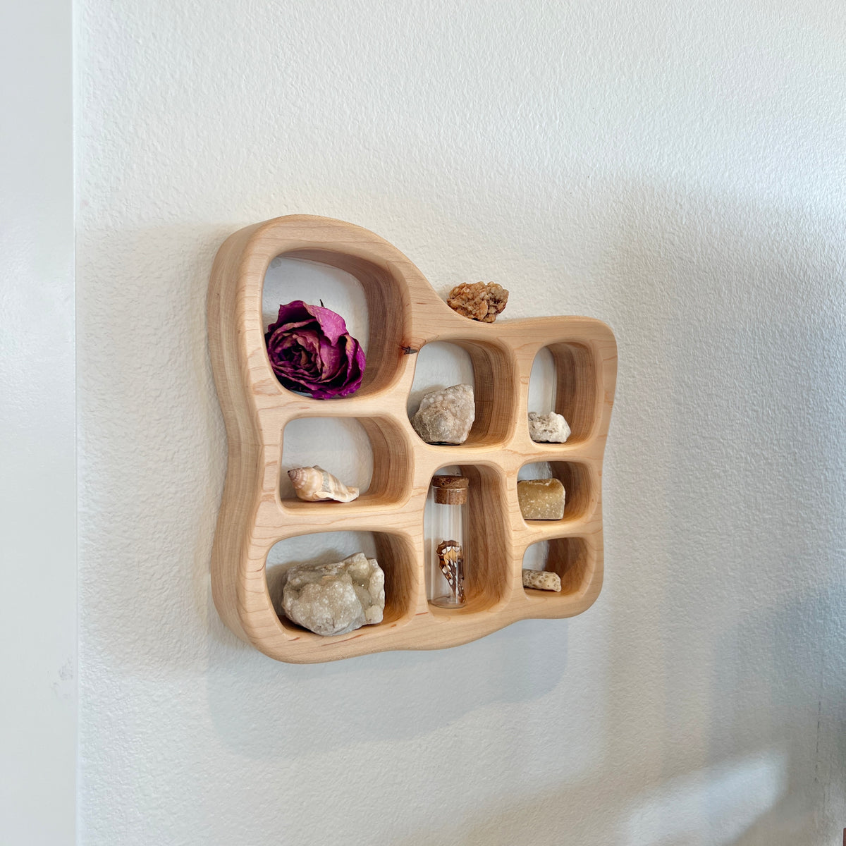 Nature Shelf - Coral Style