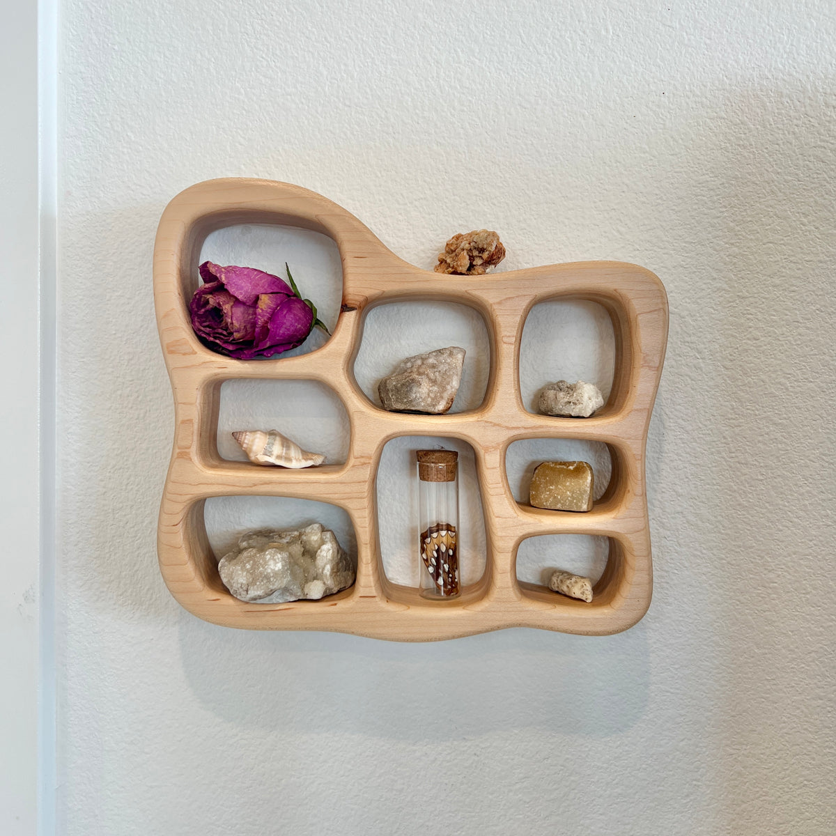Nature Shelf - Coral Style