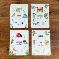 Postcards - Life Cycle Set