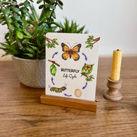 Postcards - Life Cycle Set