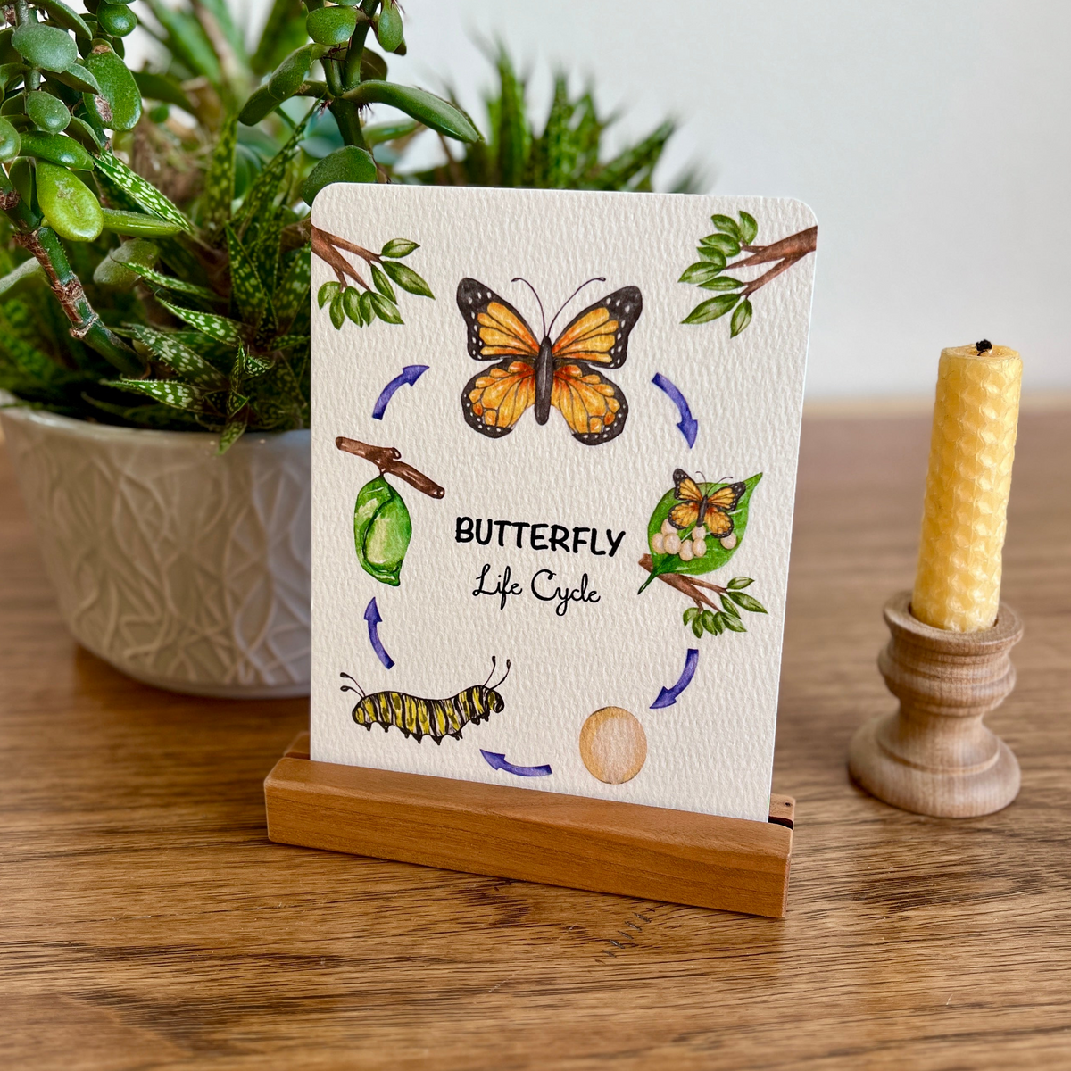 Postcard Holder