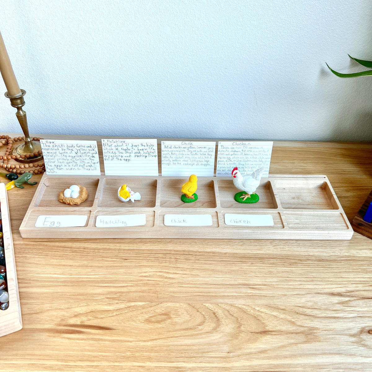 Sequence Tray