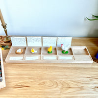 Sequence Tray