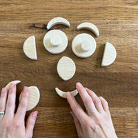 Shape Shifting Set
