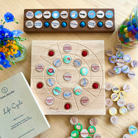 Small Coins - Life Cycle Set