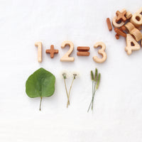 Wood Number and Math Symbol Blocks