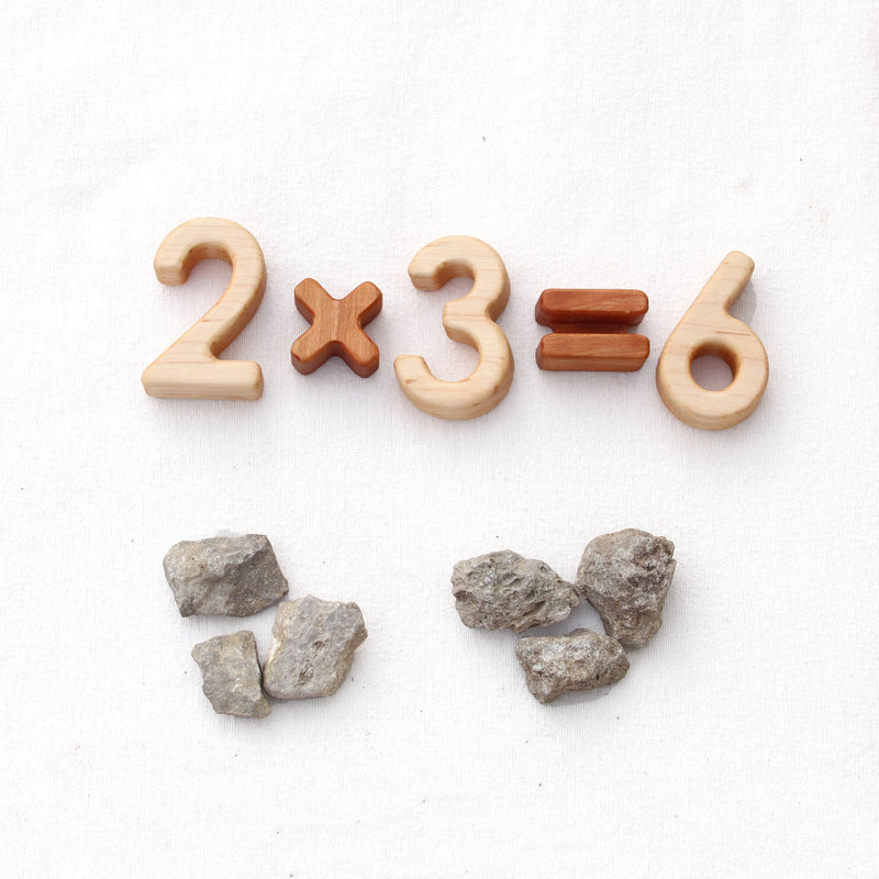 Wood Number and Math Symbol Blocks