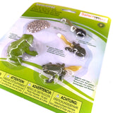 Life Cycle of a Frog