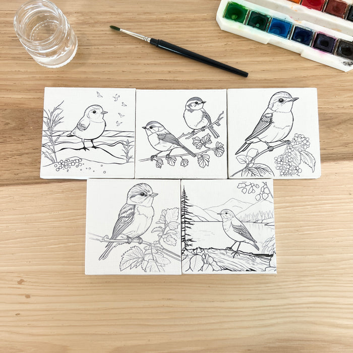 Mini Canvas - Birds Set