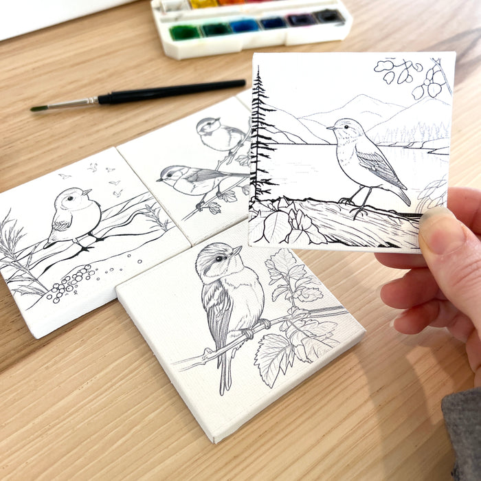 Mini Canvas - Birds Set