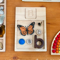 Small Cards Tray