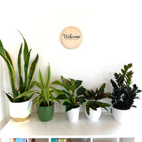 Wall Art - Welcome