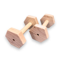 Weight Lifting Toy - Dumbbells