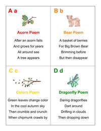 PDF: "Fairy Mail Alphabet Workbook" for K-3rd