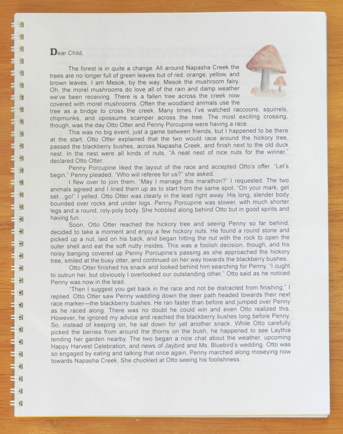 Book: "Learn the Alphabet with Fairy Mail" for K-3rd
