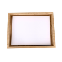 Activity Tray