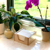 Napkin Holder