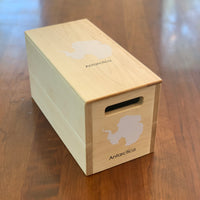 Montessori Continent Box