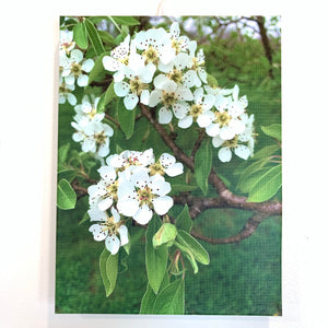 Custom Printed Canvas